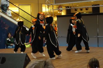 tanzende Pinguine tanzende Pinguine