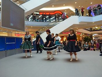 Line dance family